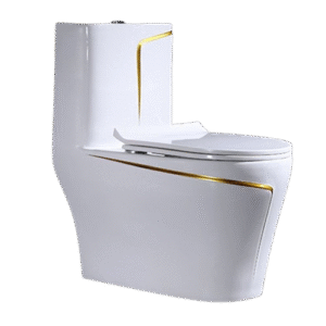 modern water closet in Lagos